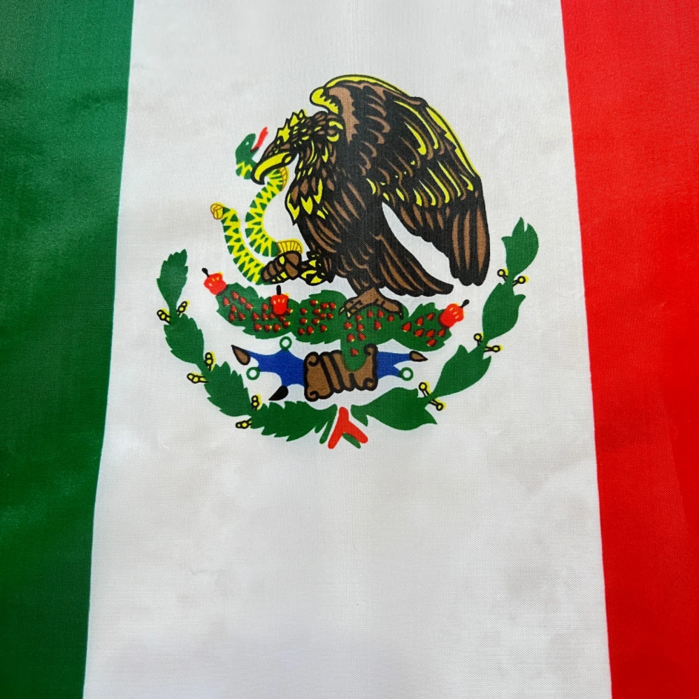 Banderín México para vehículo – Asta rígida plástica - imagen 4