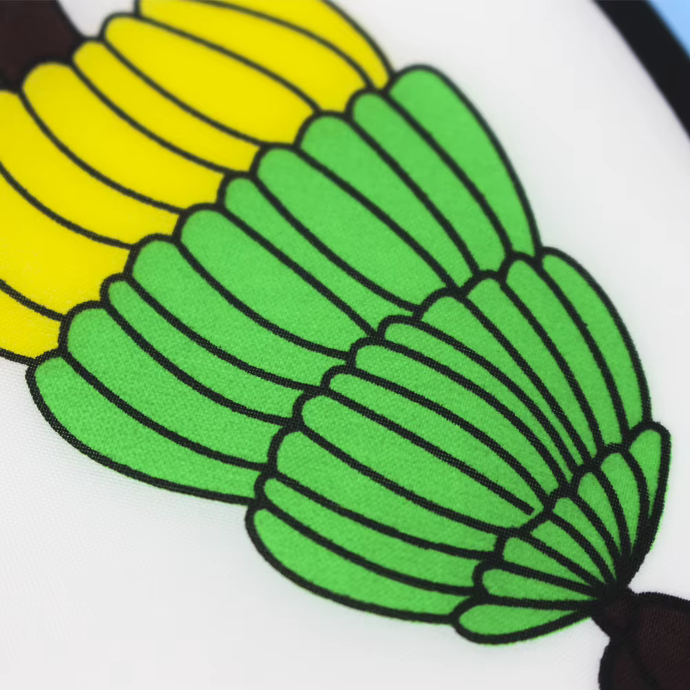 Viti Viji bandera de poliéster Fiyi para campamento y exterior - imagen 3