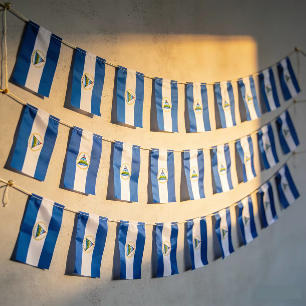 Banderín bandera Nicaragua en guirnalda poliéster para fiestas - imagen 5