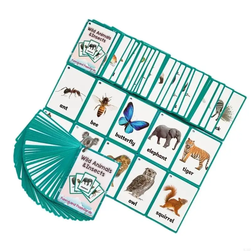 Detalle de tarjetas didácticas