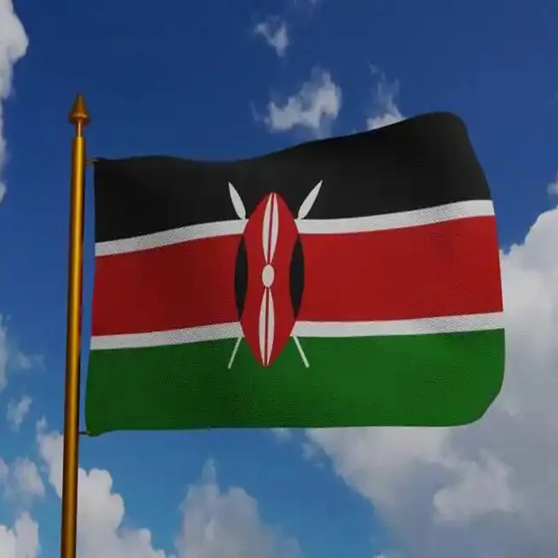 Bandera nacional de Kenia ripstop 90x150 cm para exterior - imagen 4