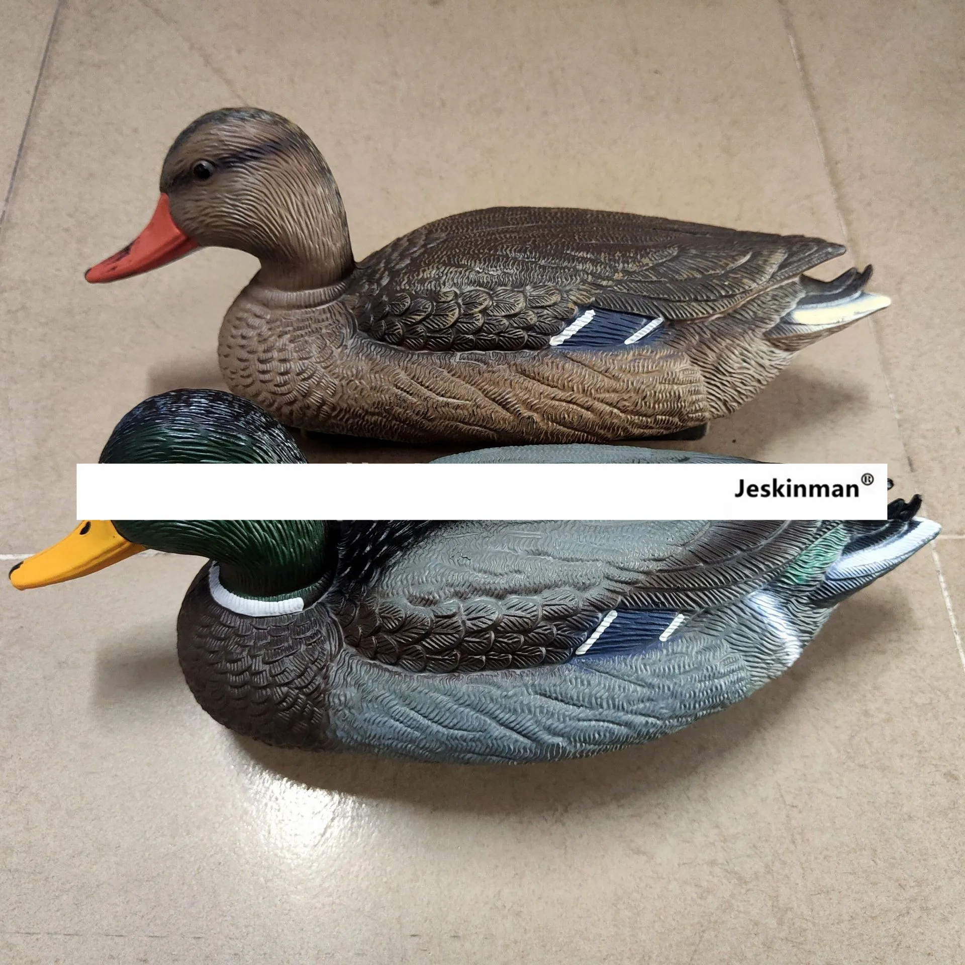 Pato salvaje con cabeza verde flotando en agua
