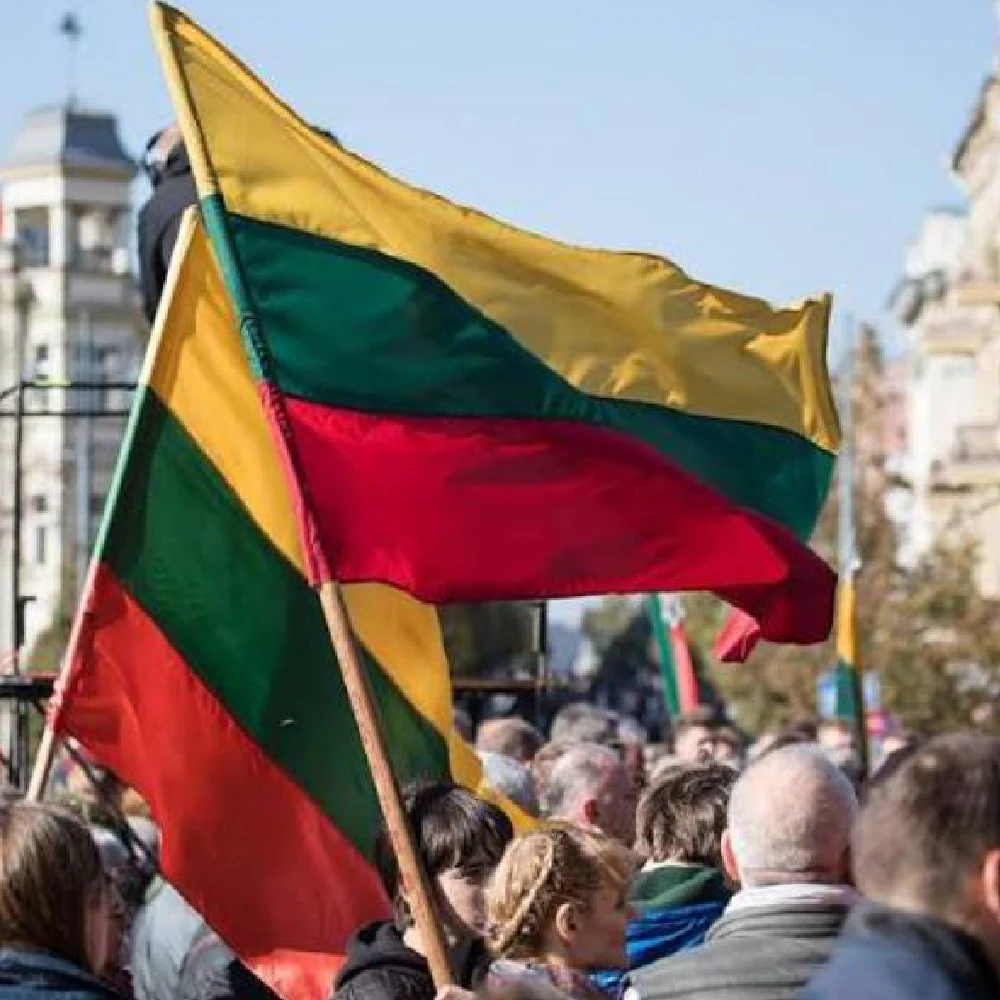 Bandera Lituania LTU en poliéster para colgar - imagen 4