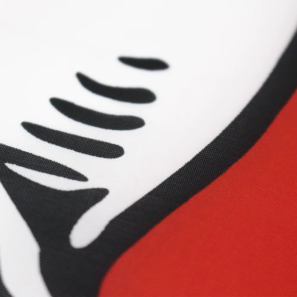 Bandera Schleswig-Holstein de poliéster impresa resistente exterior - imagen 5