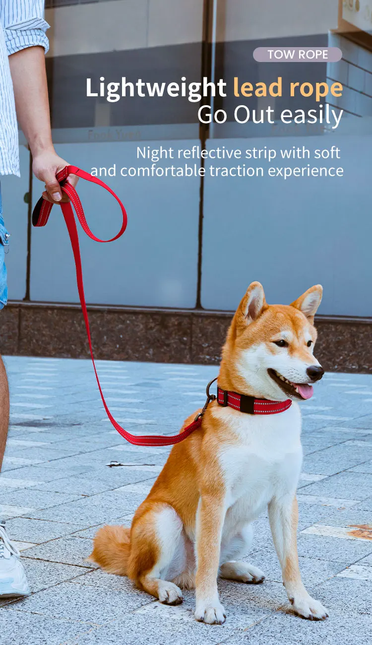 Correa reflectante para mascotas en uso diurno
