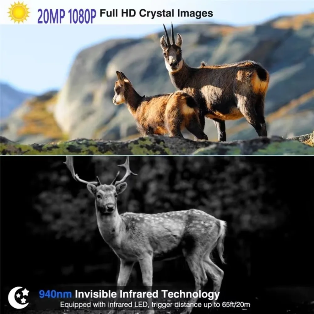 Cámara de caza inalámbrica visión nocturna con detección movimiento - imagen 4