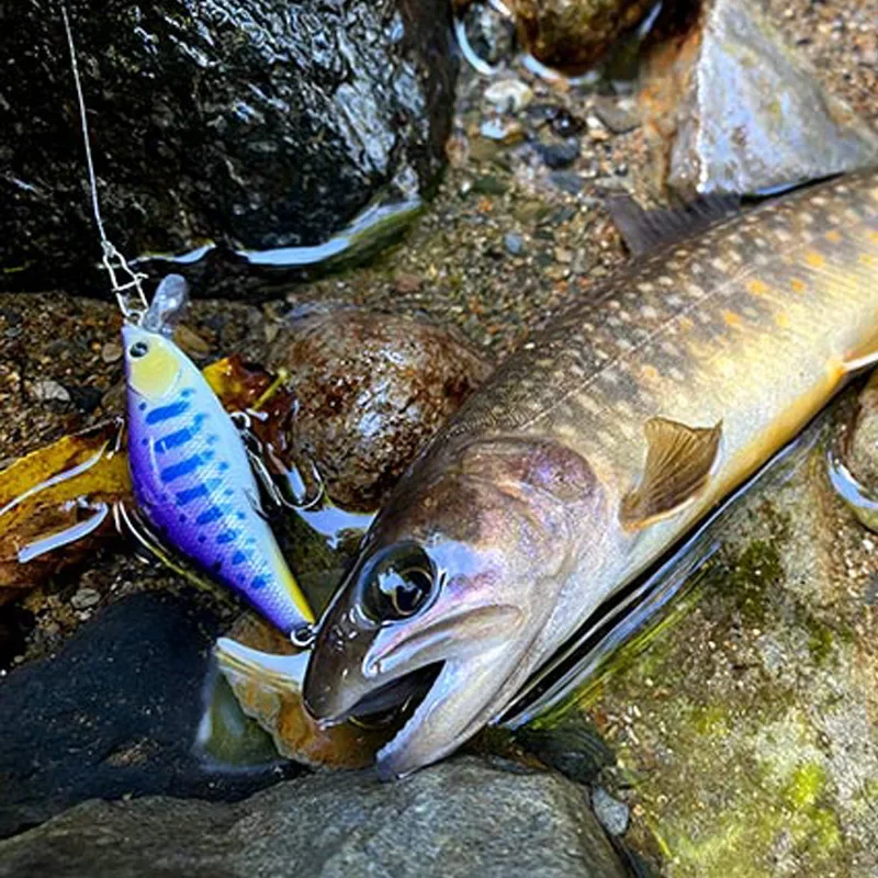 Señuelo pesca wobbler 55mm – Artificial dura para trucha y lubina