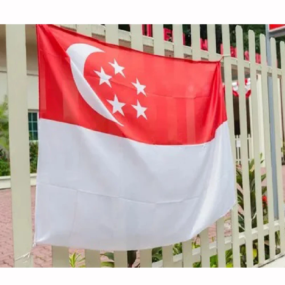 Xiangying Bandera Singapur Ciudad del León para exterior - imagen 5