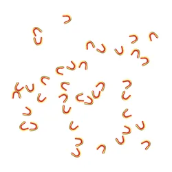 Clips hebilla latón – Sujeción flechas arco
