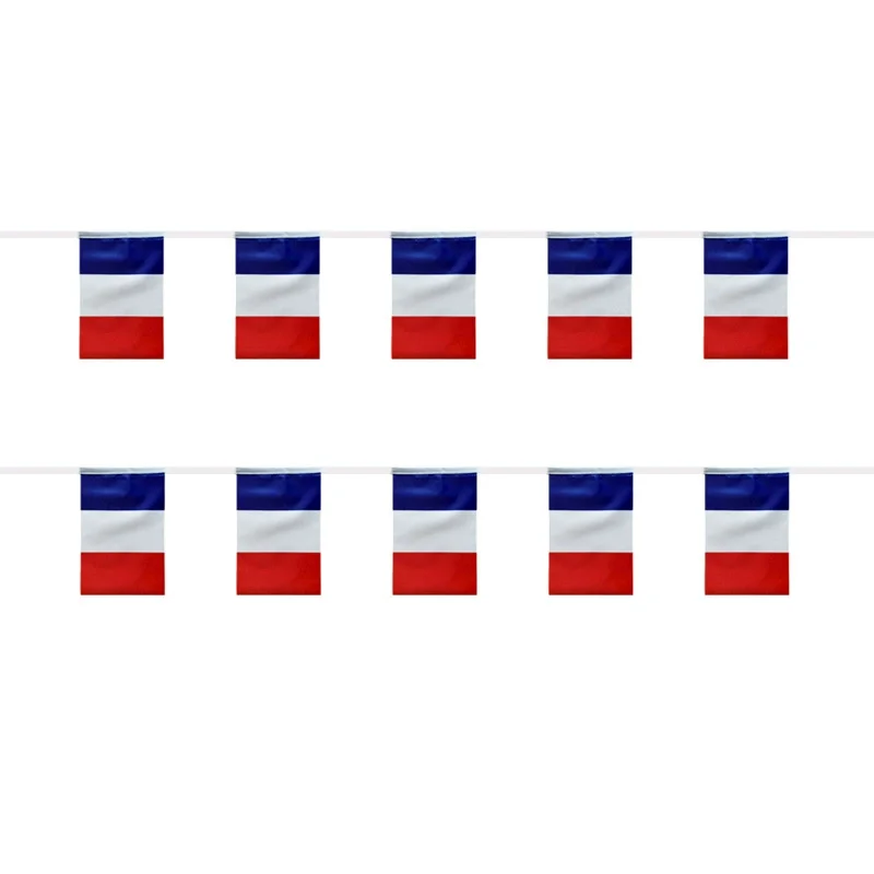 Banderines de Francia guirnalda para decoración fiesta y eventos - imagen 3