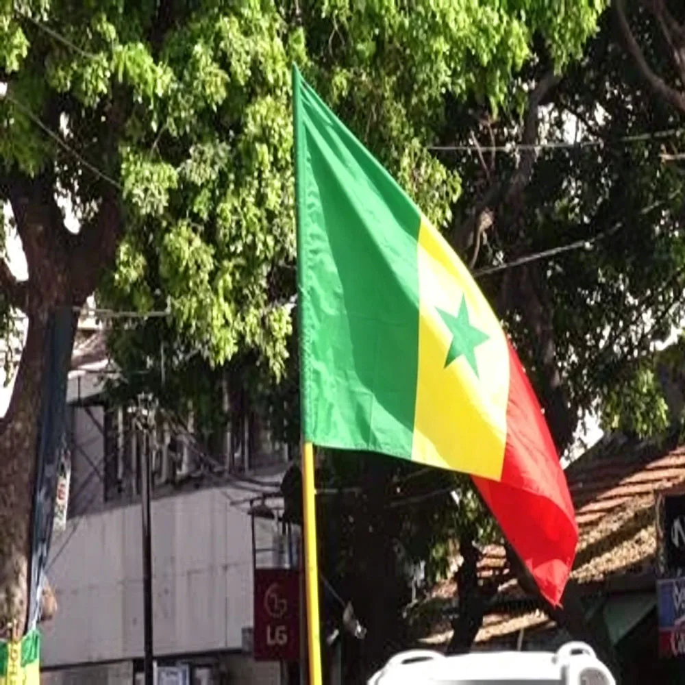 Bandera Senegal 90x150 cm para exterior y actos - imagen 2