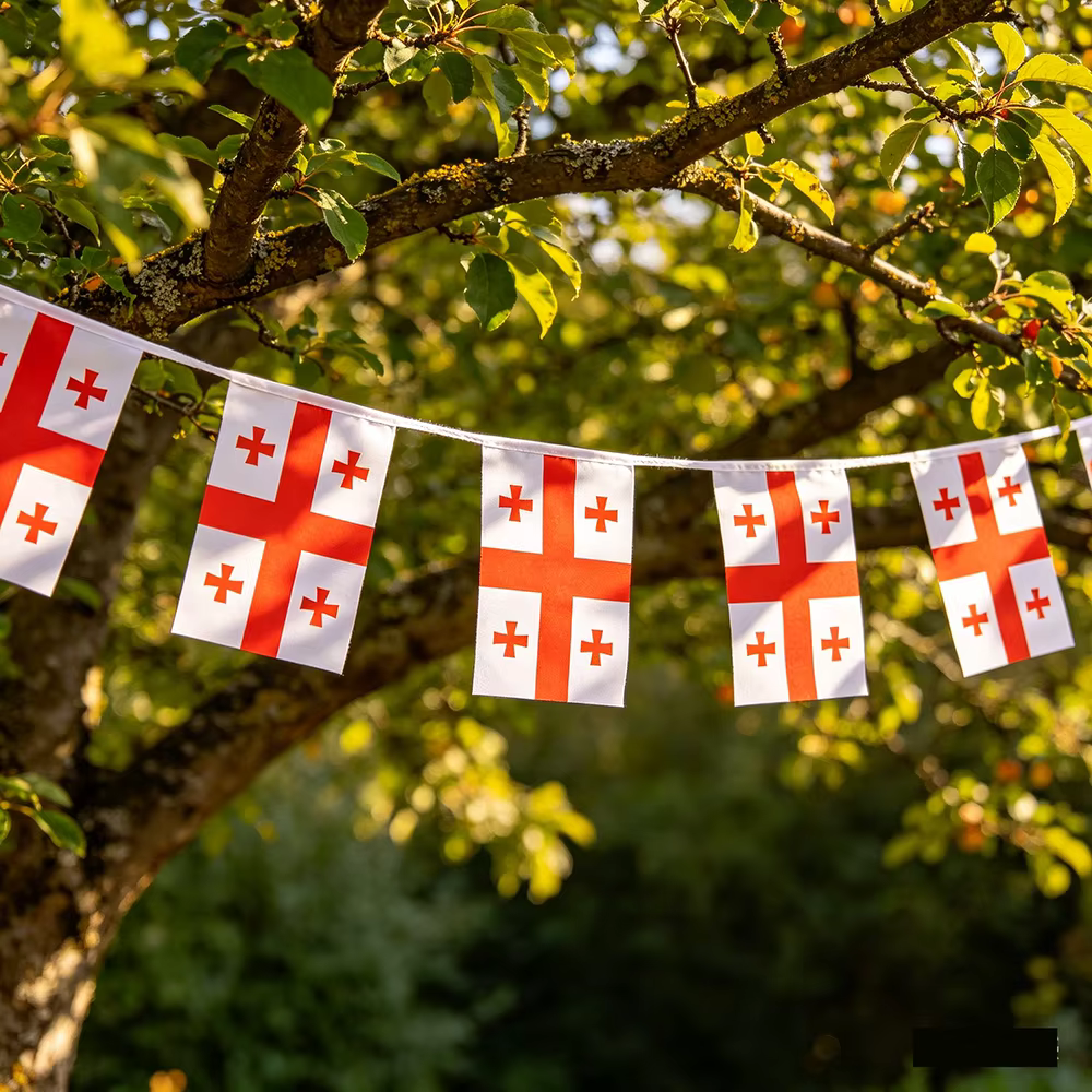 Banderín poliéster Georgia para pancarta y decoración fiestas - imagen 5