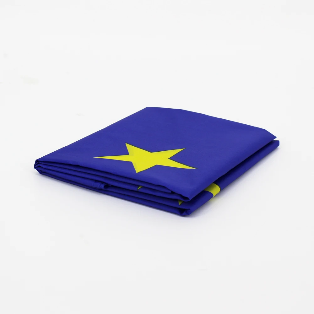 FLAGLINK Bandera Unión Europea – Decoración interior y exterior - imagen 5