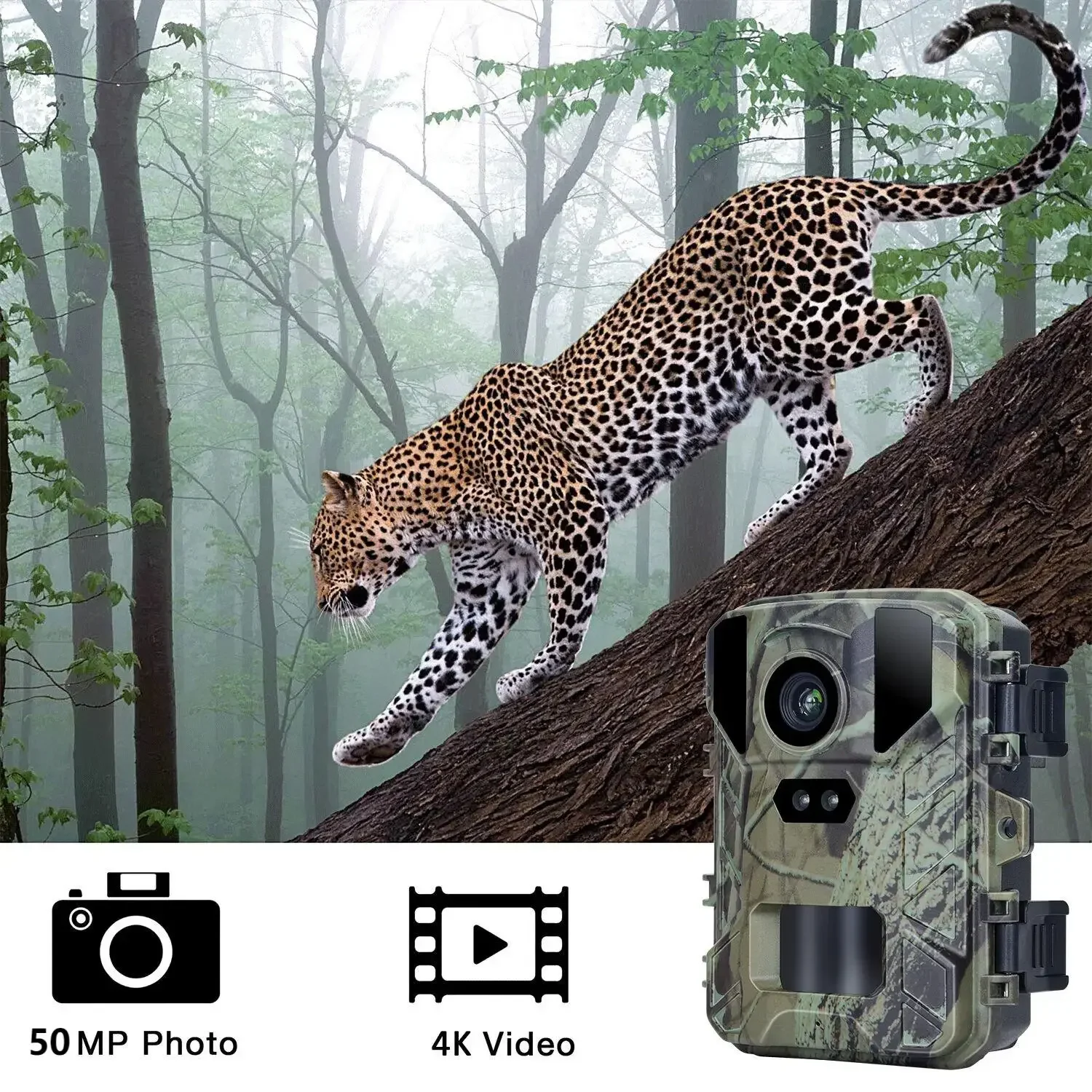 Cámara compacta para trampa fotográfica