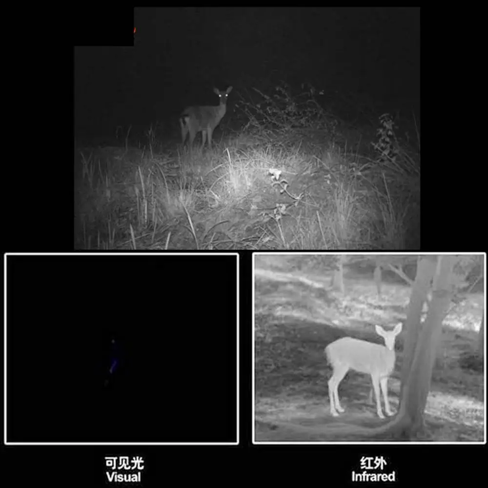 Linterna táctica LED con iluminador IR 850nm y zoom - imagen 5