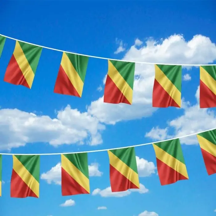 SKY FLAG Banderín de la República del Congo decorativo - imagen 5
