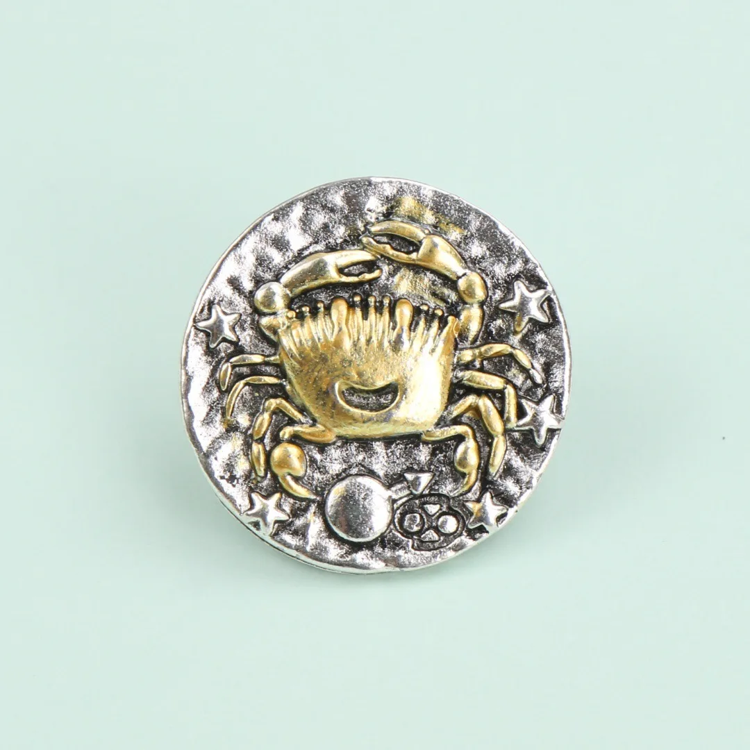 Pin solapa zodiacal: insignia mochila, regalo cumpleaños - imagen 5