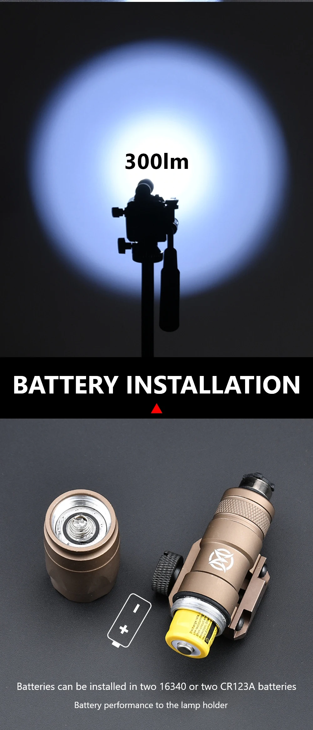 Montaje en riel Picatinny