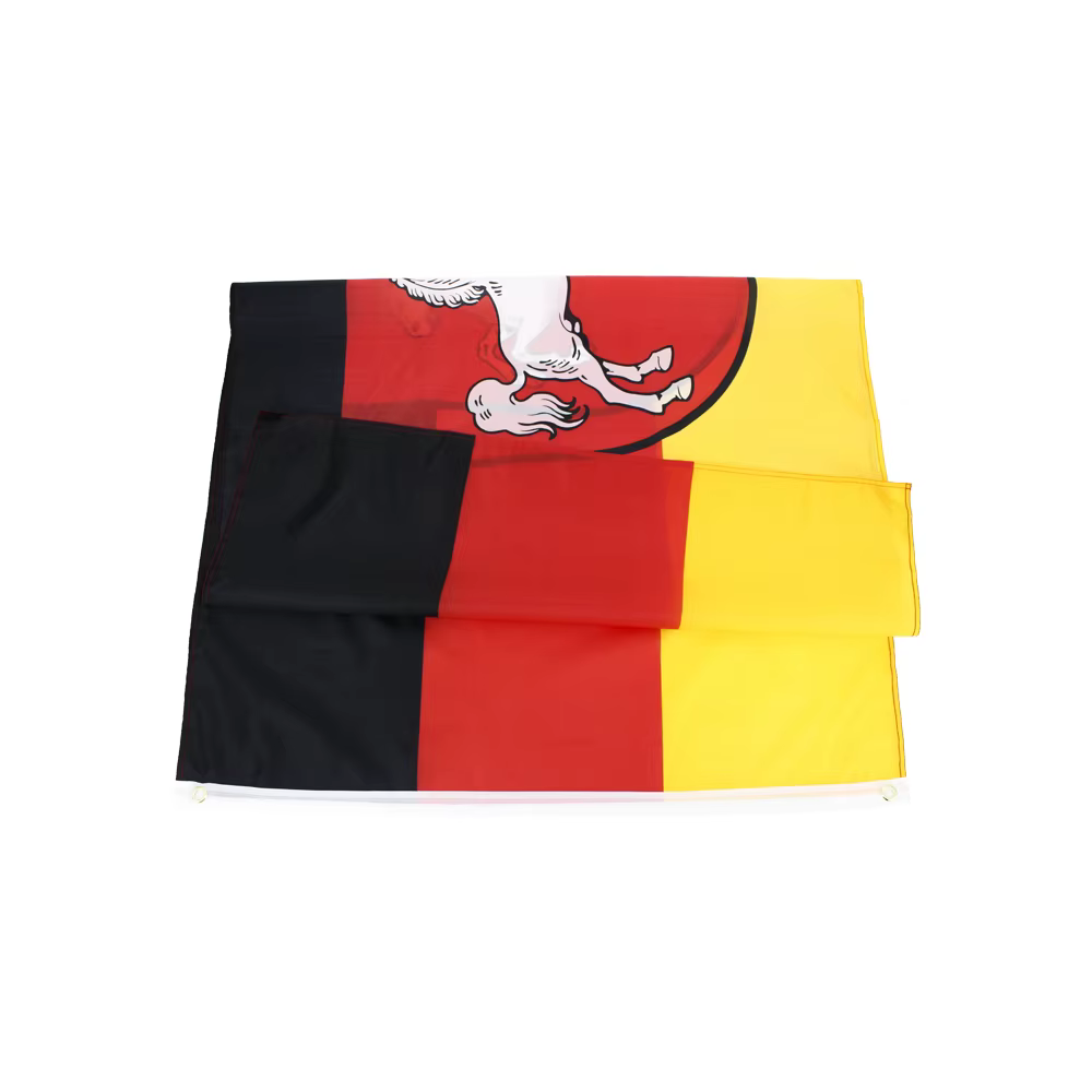 Bandera Schleswig-Holstein de poliéster impresa resistente exterior - imagen 3