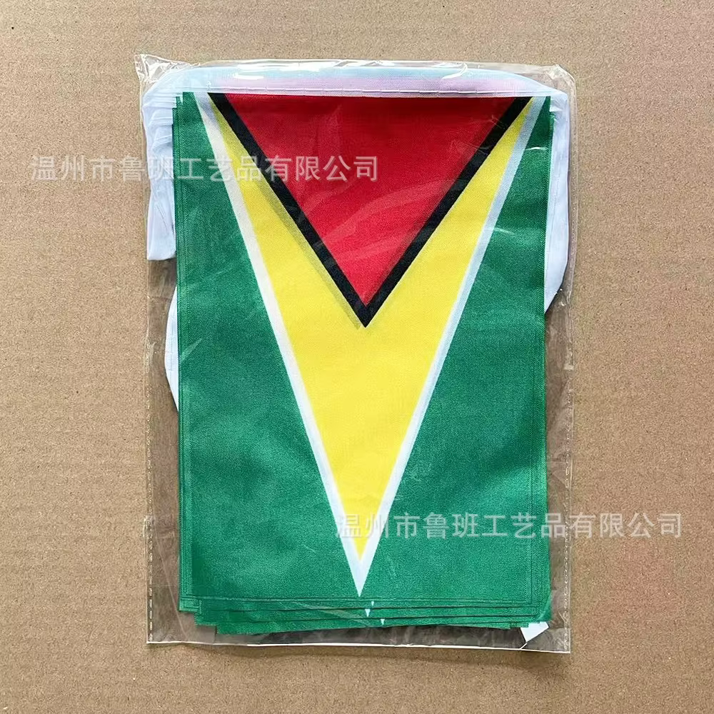 Banderines Guyana poliéster guirnalda para fiesta - imagen 5