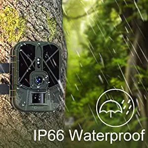 Cámara resistente al agua IP66 para jardín y exteriores
