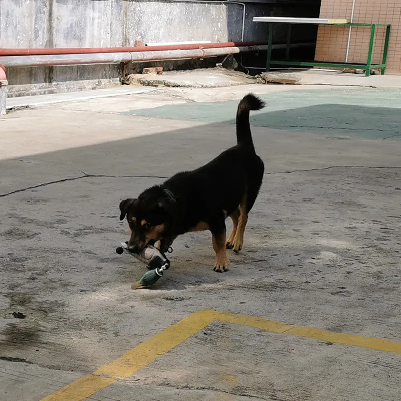 Pato falso de cabeza verde para entrenamiento canino