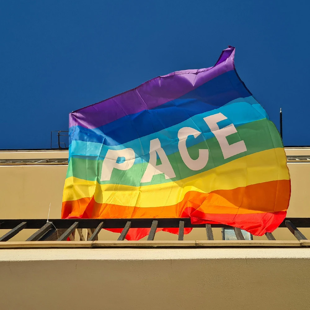 Bandera de poliéster arcoíris paz mundial para exterior - imagen 5