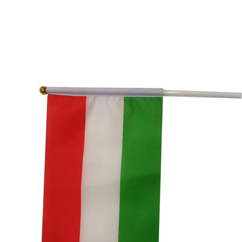 Bandera agitada en mano