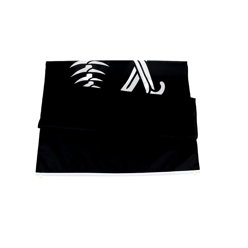 Bandera Jolly Roger calavera y huesos cruzados – FLAGLINK - imagen 4