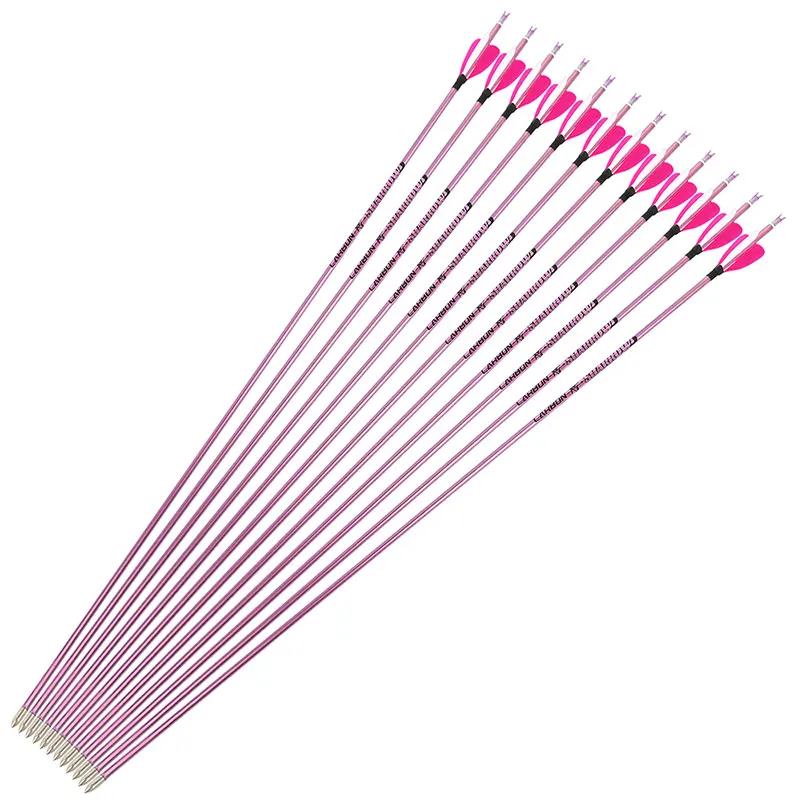 Flechas listas para práctica de tiro