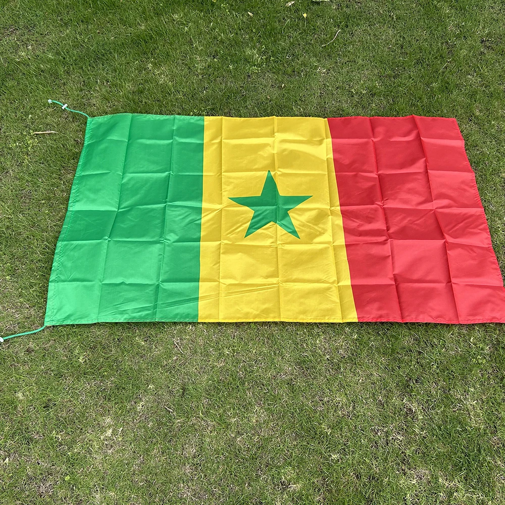 Bandera Senegal poliéster tipo chal para exterior o interior - imagen 4