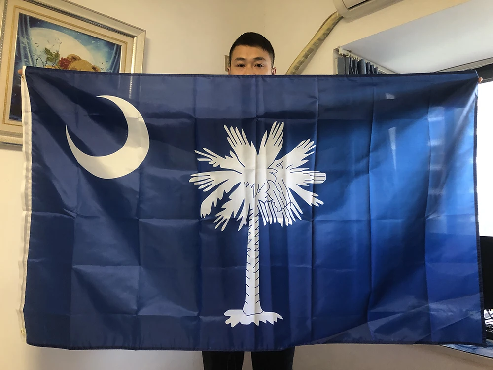 Bandera de Carolina del Sur mostrando los colores oficiales palmetto y luna creciente