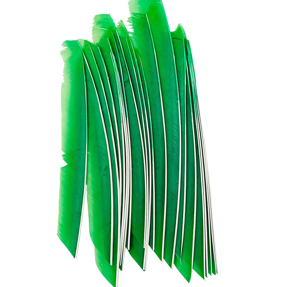 Detalle de plumas de flecha naturales