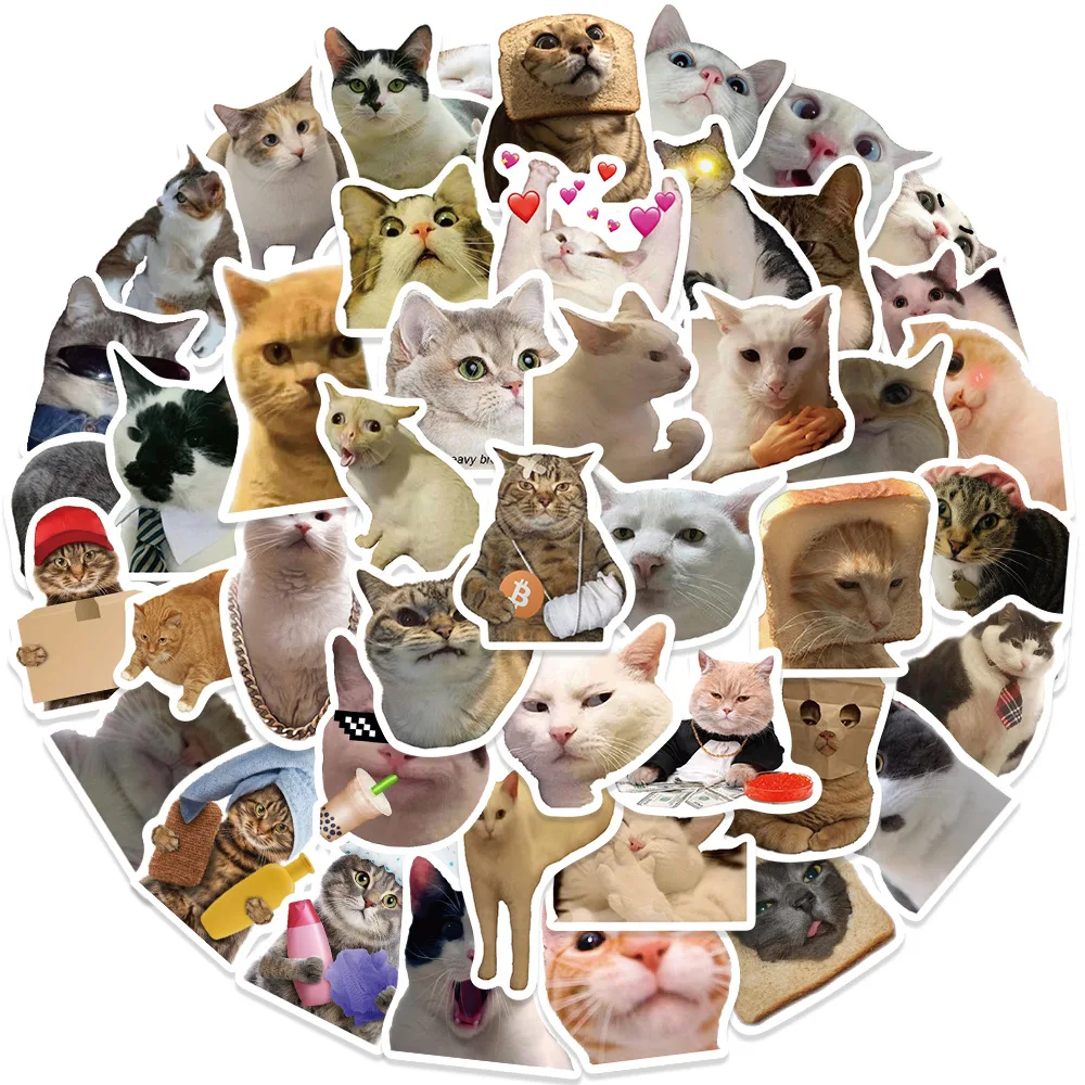 Pegatinas gato meme decorativas para cuaderno y portátil – Infantil