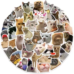 Pegatinas gato meme decorativas para cuaderno y portátil – Infantil