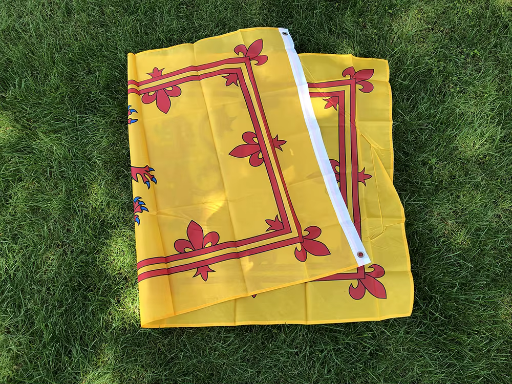 Banderín de Escocia León Rampant en Poliéster Ripstop - imagen 4
