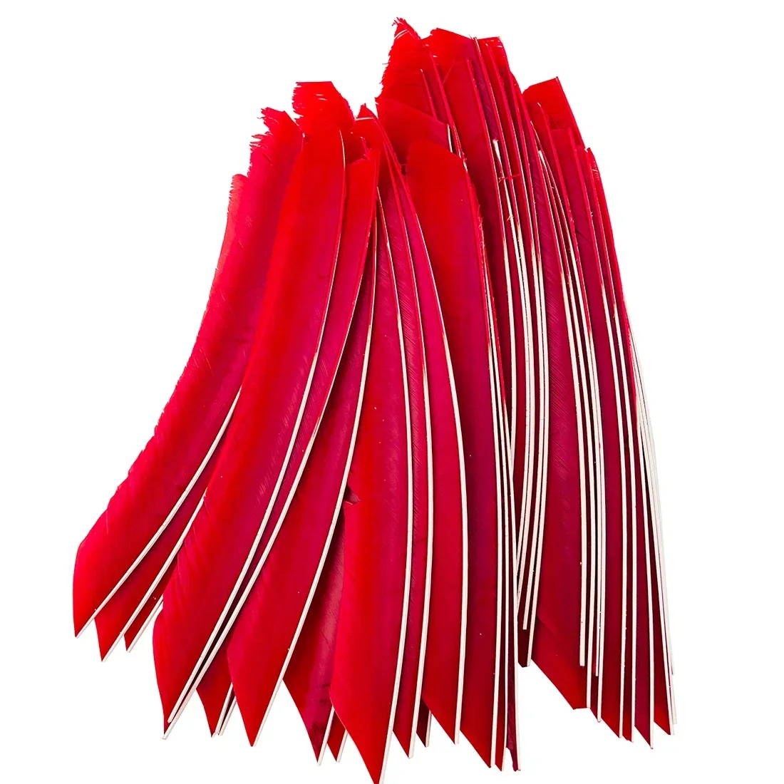 Plumas de flecha arco pavo real – Ala derecha 18-25 cm - imagen 3