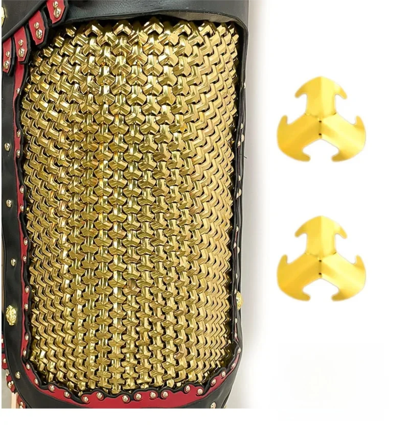 Conjunto de placas de refuerzo costilla
