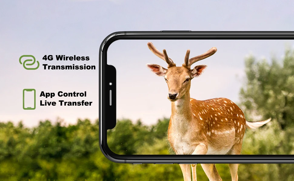 Vídeo en vivo por 4G desde el móvil