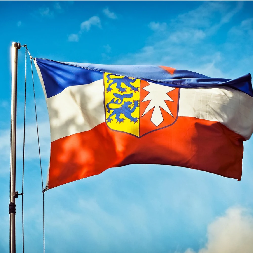 FLAGLINK bandera Schleswig Holstein para decoración exterior