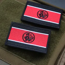 Parche bordado de dragón estilo tótem para insignia de brazo exterior