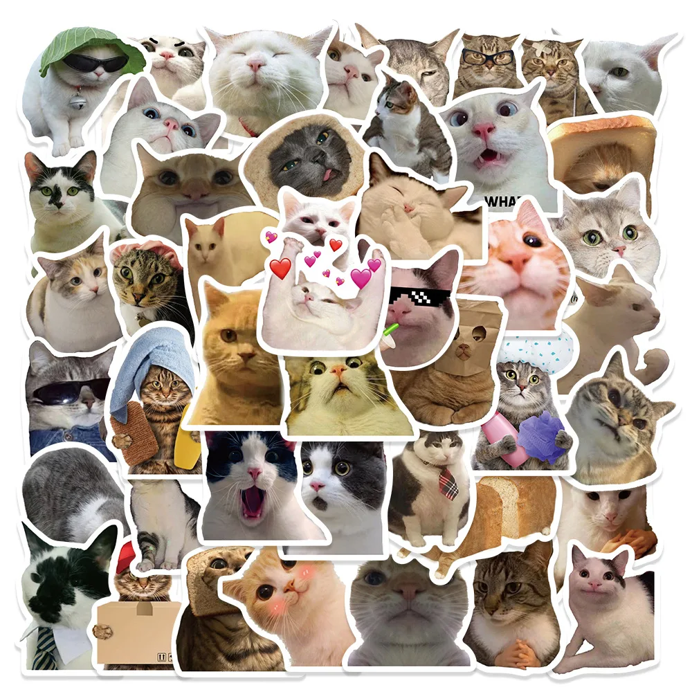 Variedad de diseños de gato meme