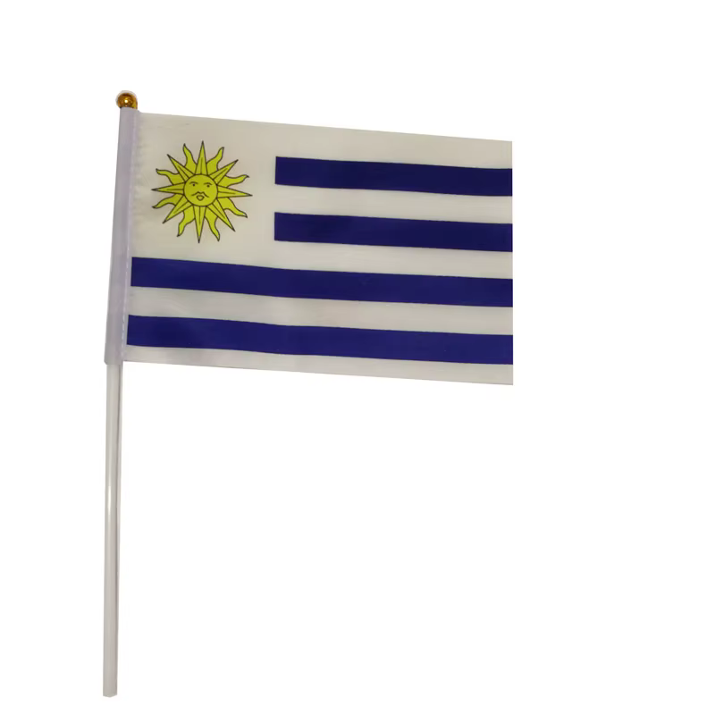 Bandera de Uruguay ondulada a mano para exterior - imagen 5