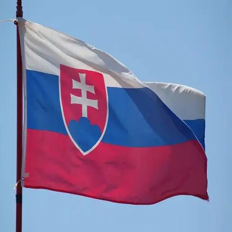 Bandera nacional de Eslovaquia para exterior de poliéster - imagen 3