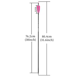 Flechas Carbono Archery 31,6" Plumas Pavo 100gr Pack 12 Ud