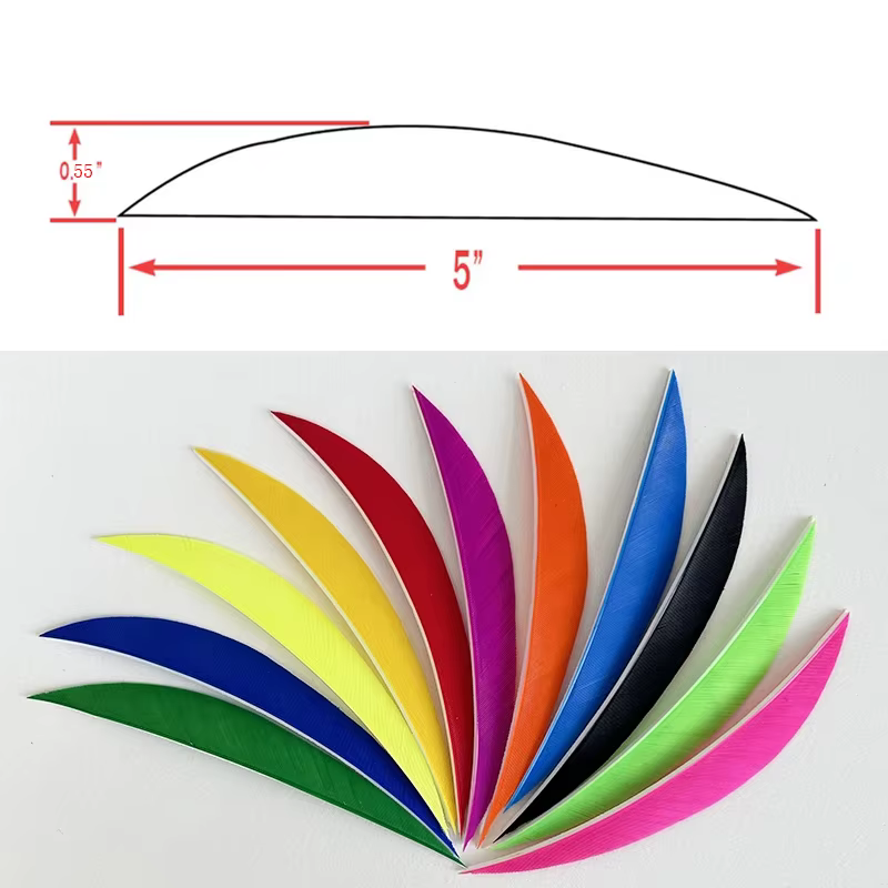 Fletching plumas reales 5 pulgadas – Para caza y tiro con arco - imagen 2