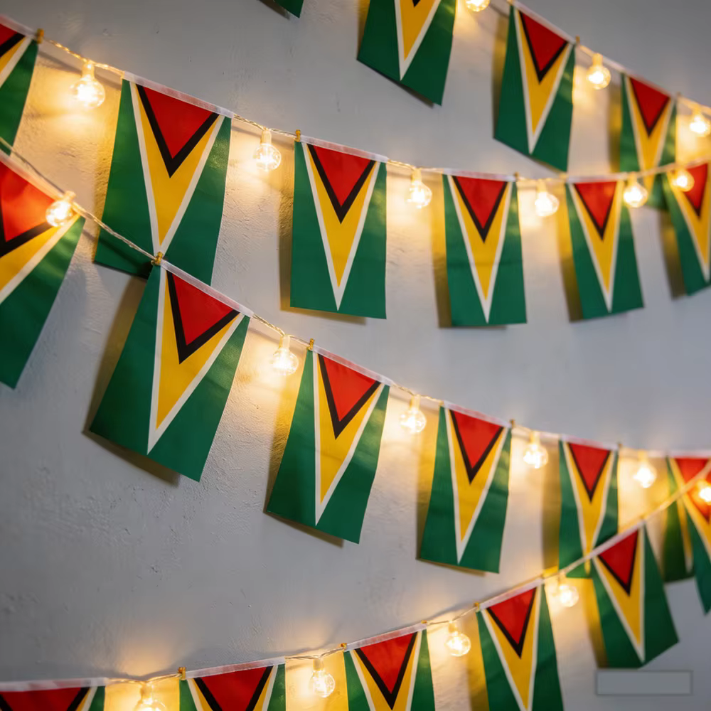 Banderines Guyana poliéster guirnalda para fiesta - imagen 3