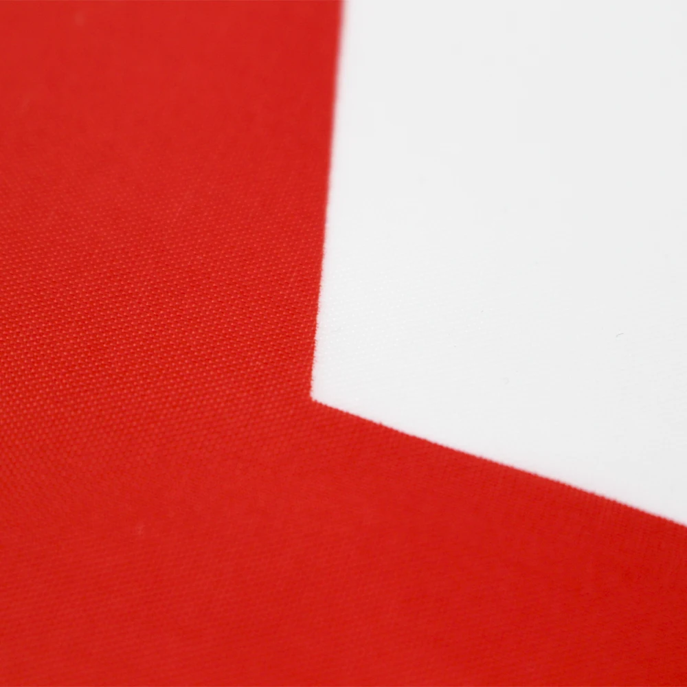 FLAGLINK Bandera Nacional de Argelia para Decoración - imagen 5