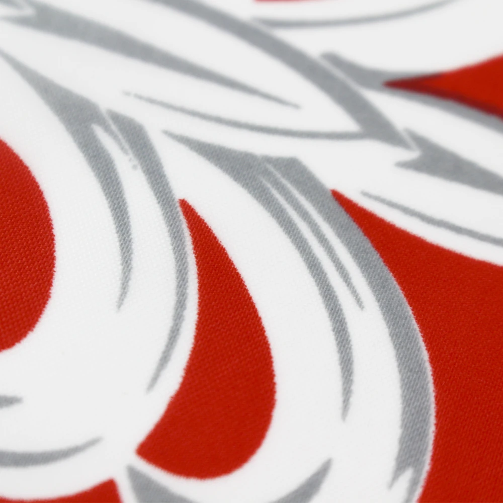 FLAGLINK Bandera de Polonia exterior tipo emblema para decoración - imagen 2