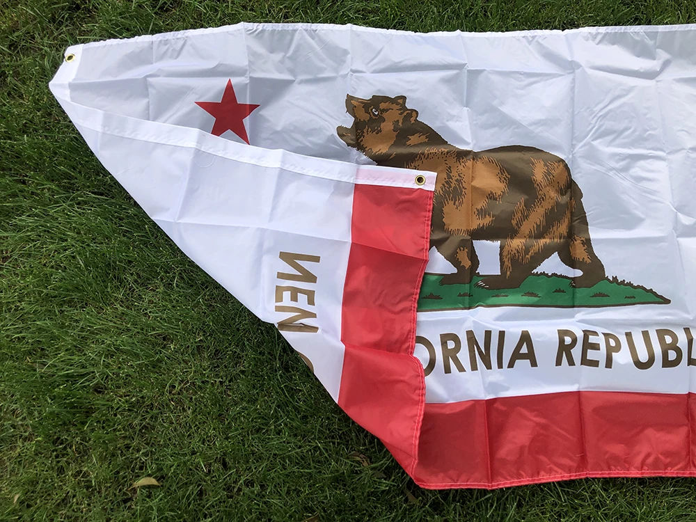 Bandera California de poliéster doble cara impresa - imagen 2